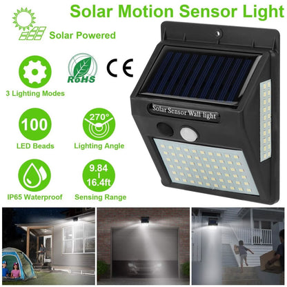 Solar Motion Sensor Light (ST-101)